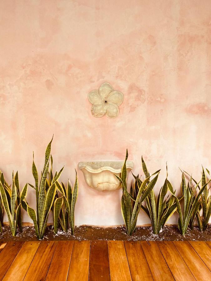 Casa Nicte, Hospedate En Una Casa Del Siglo XVIII Campeche Eksteriør billede